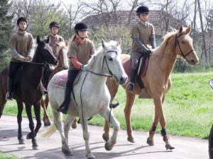 tótkomlós távlovas