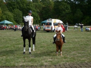 gyereklovas 2013.10.