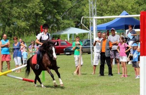 gyereklovas 2013.11.