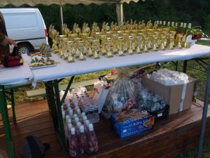 gyereklovas 2013.13.