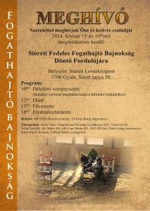 plakat_2014_döntő