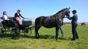 pusztaottlaka Jani2jpg