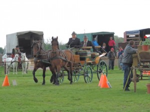 tótkomlós besenyei
