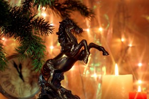 The new year of the horse 2014