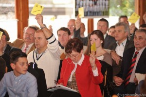 közgyűlés kiskunhalas