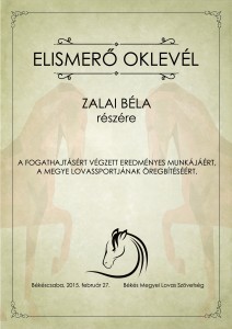 lovasoklevél37 copy