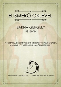 lovasoklevél38 copy