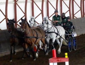 szabó lajos hortobágy4