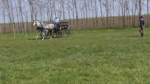 újkígyós továbbképzés2