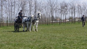 újkígyós továbbképzés4