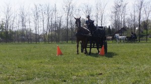 újkígyós továbbképzés6