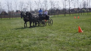 újkígyós továbbképzés8