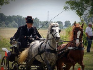 németh bazsi eleken