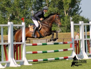 mezőhegyes mén-kanca ifj. Szász