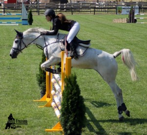 mezőhegyes mén-kanca winter