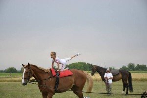 tótkomlósi lovastornász