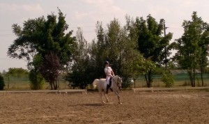 11780115_796963027068422_1129507871_o