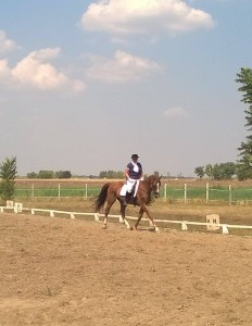 11791064_796962990401759_1391402751_o