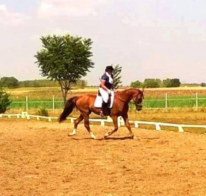 11791669_796962970401761_1524924949_n