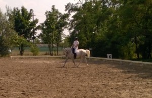 11793895_796962997068425_1057803058_o