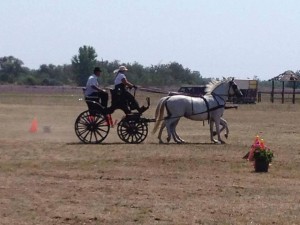 füzesgyarmat tamara