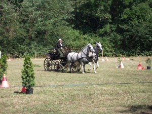 szabadkígyós tamara