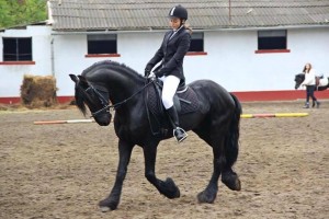 díjlovas kalicz laura